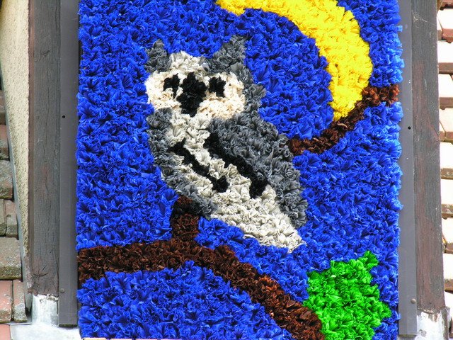 Image has been resized